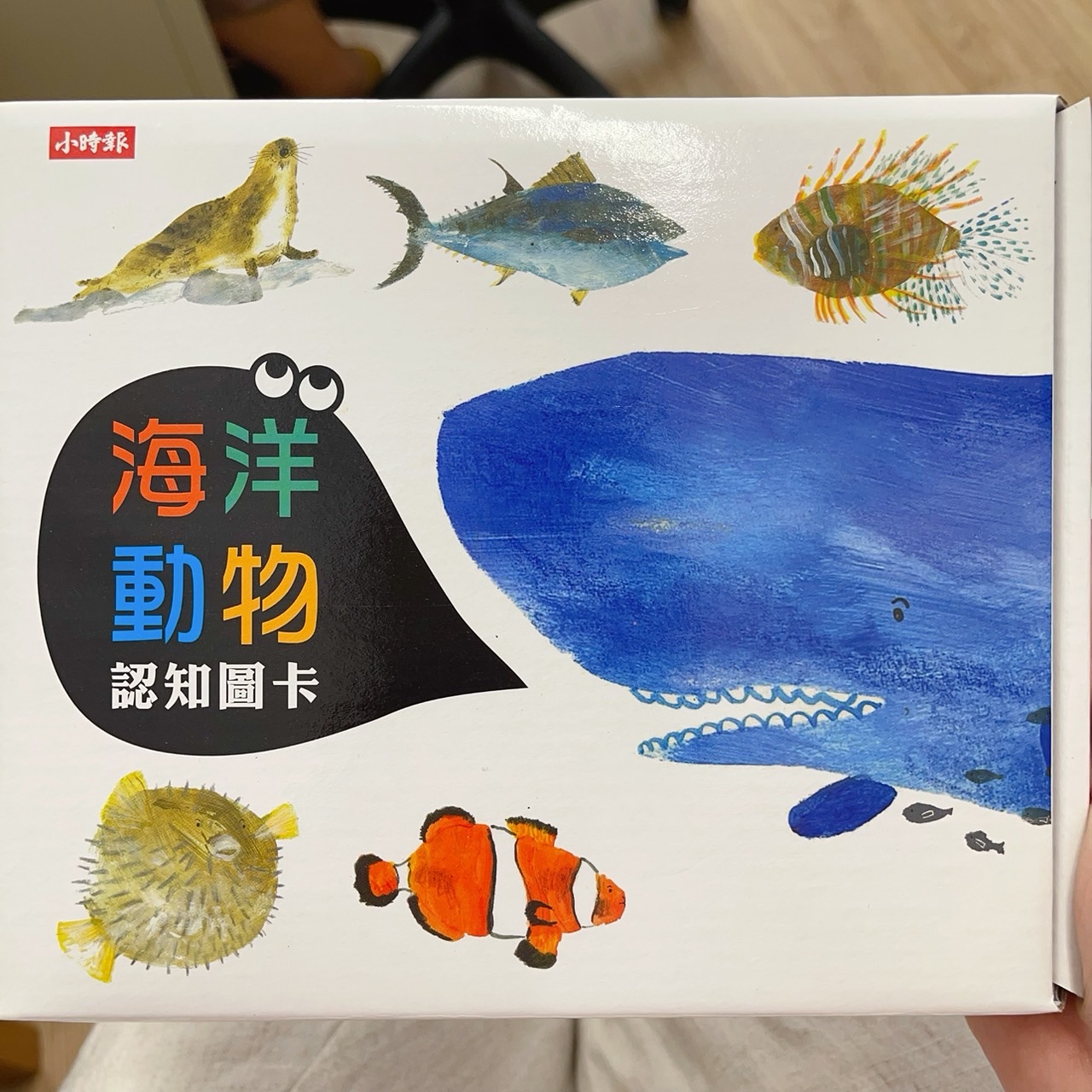 海洋動物認知圖卡圖片