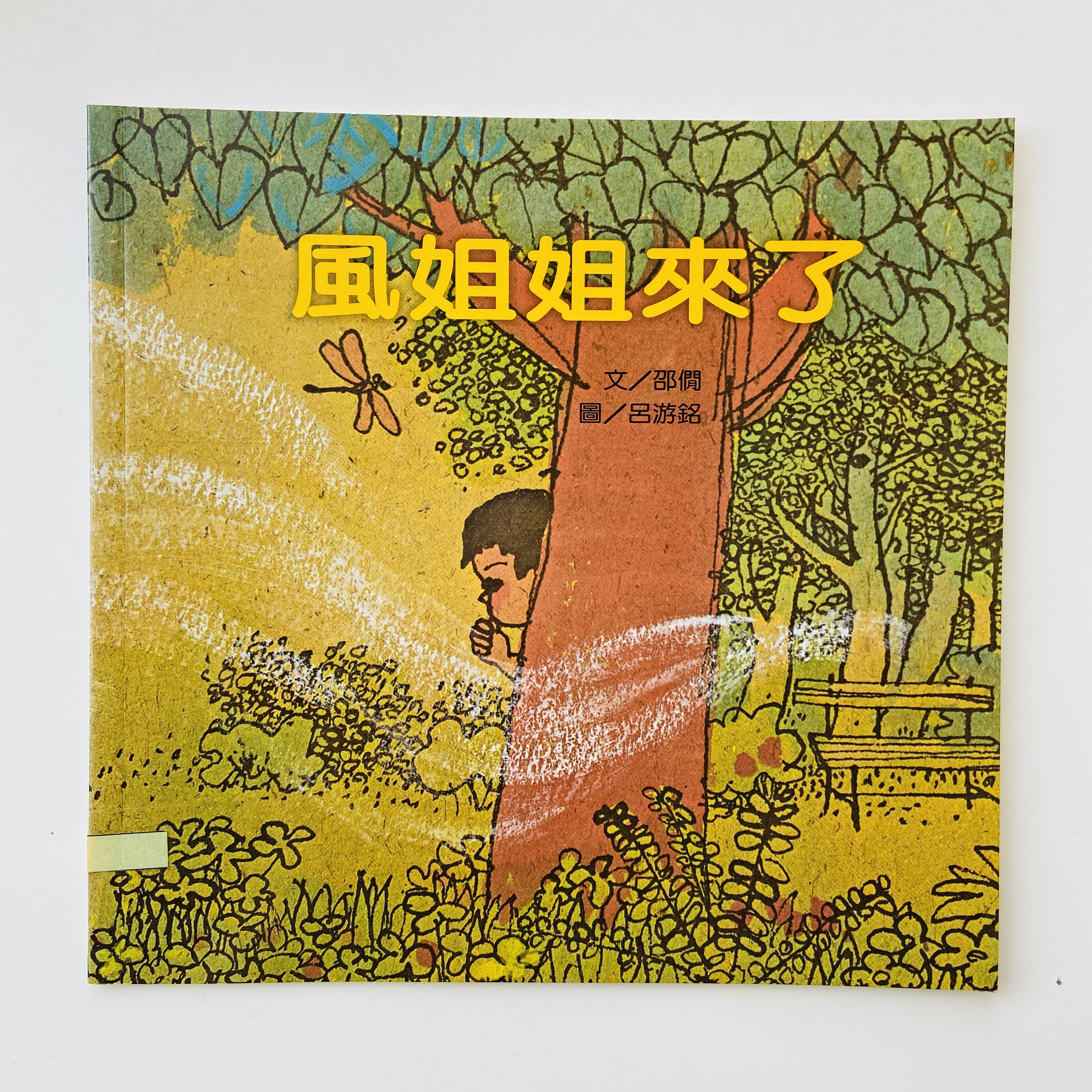 我的自然小書包－風姐姐來了圖片