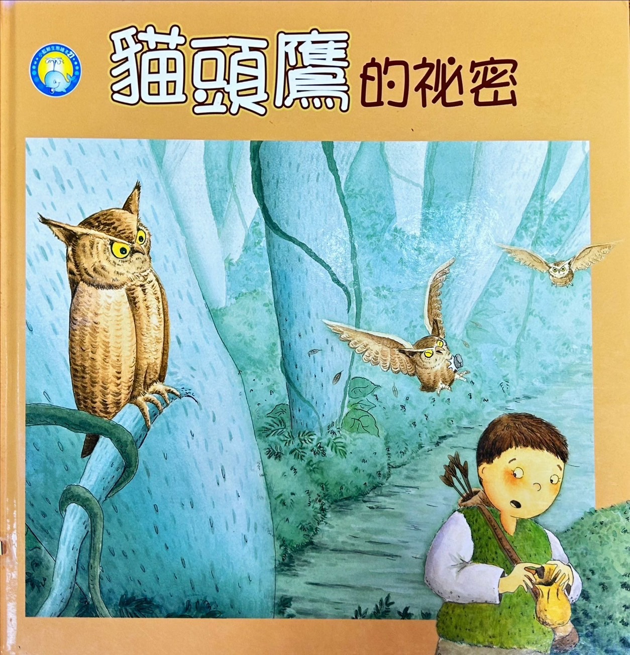 貓頭鷹的秘密圖片