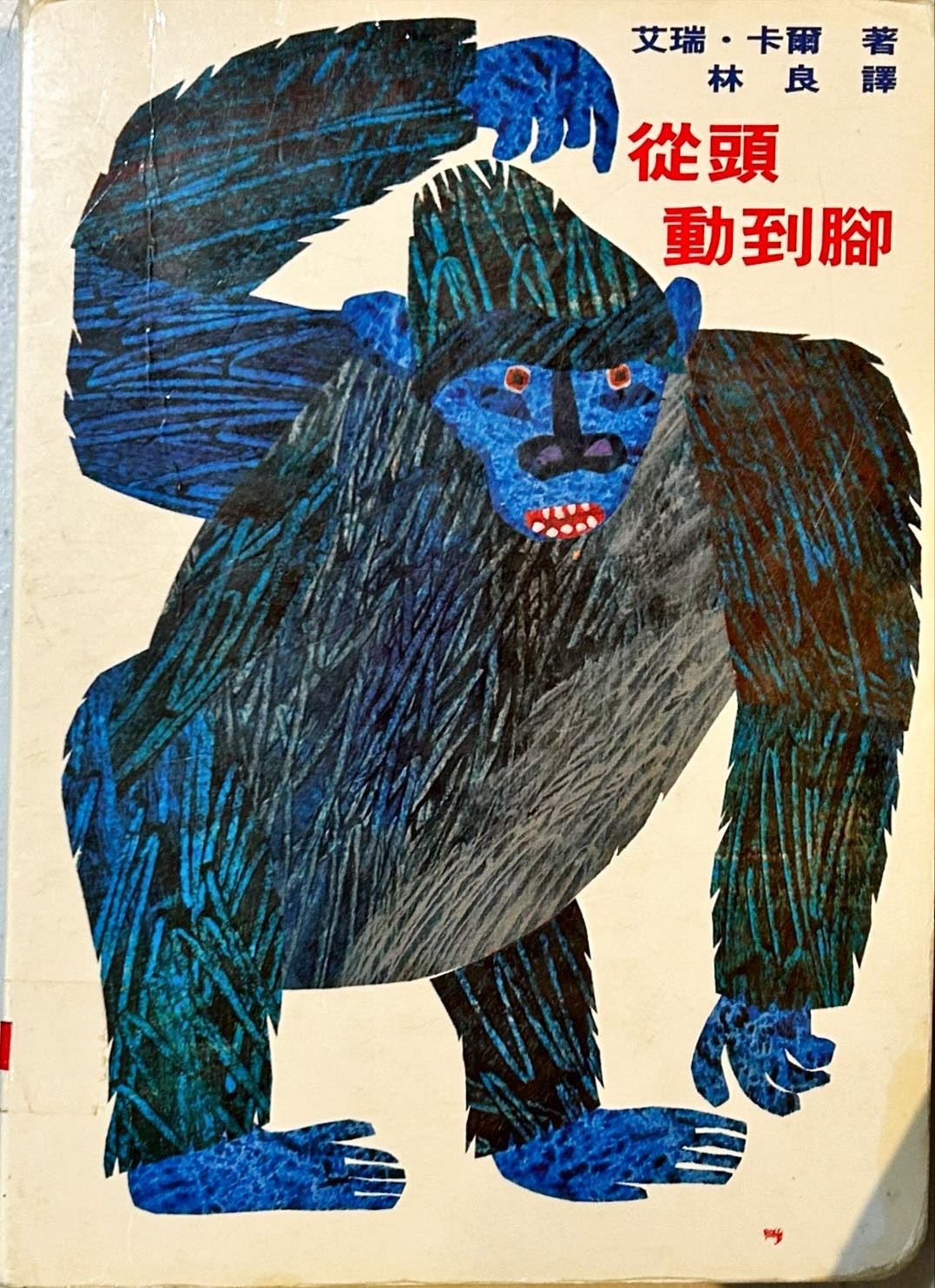 從頭動到腳圖片