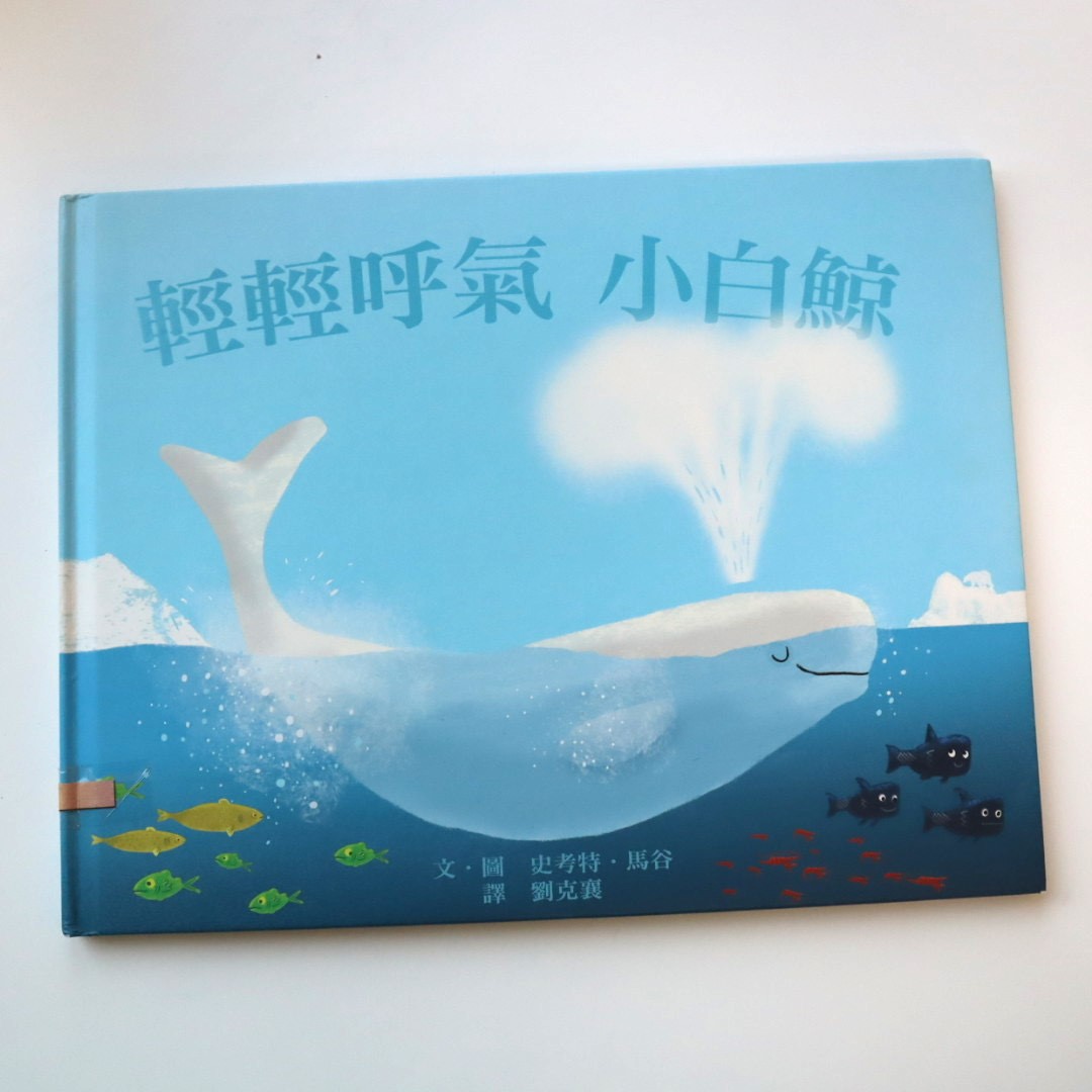 輕輕呼氣小白鯨圖片