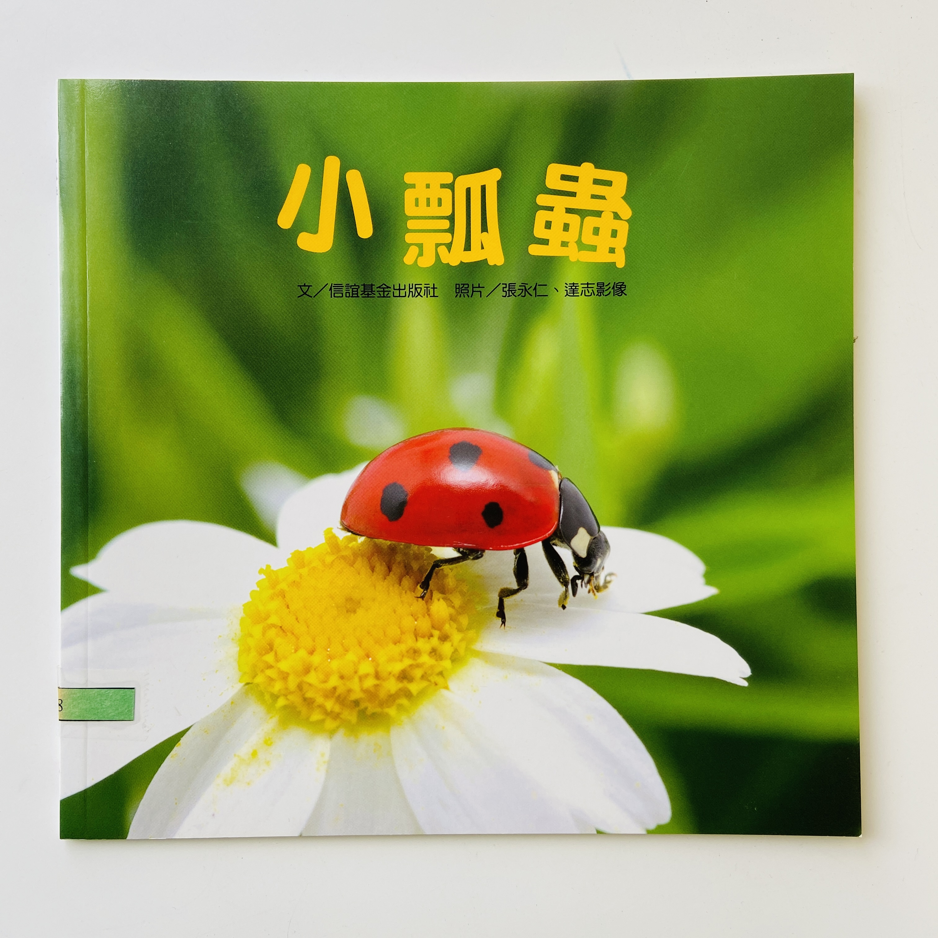 我的自然小書包－小瓢蟲圖片