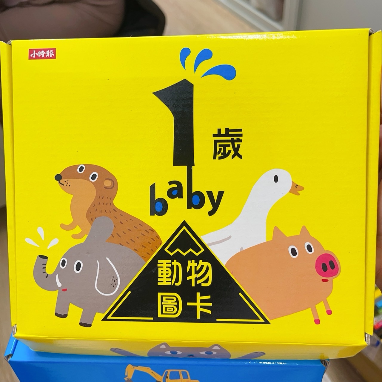 1歲baby動物圖卡圖片