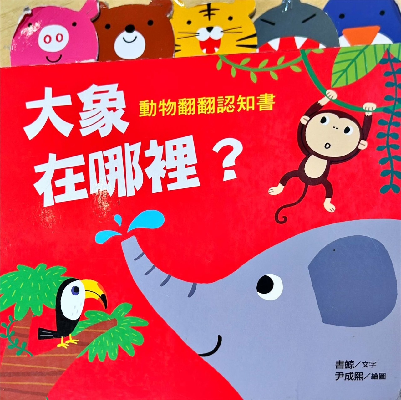 大象在哪裡？圖片