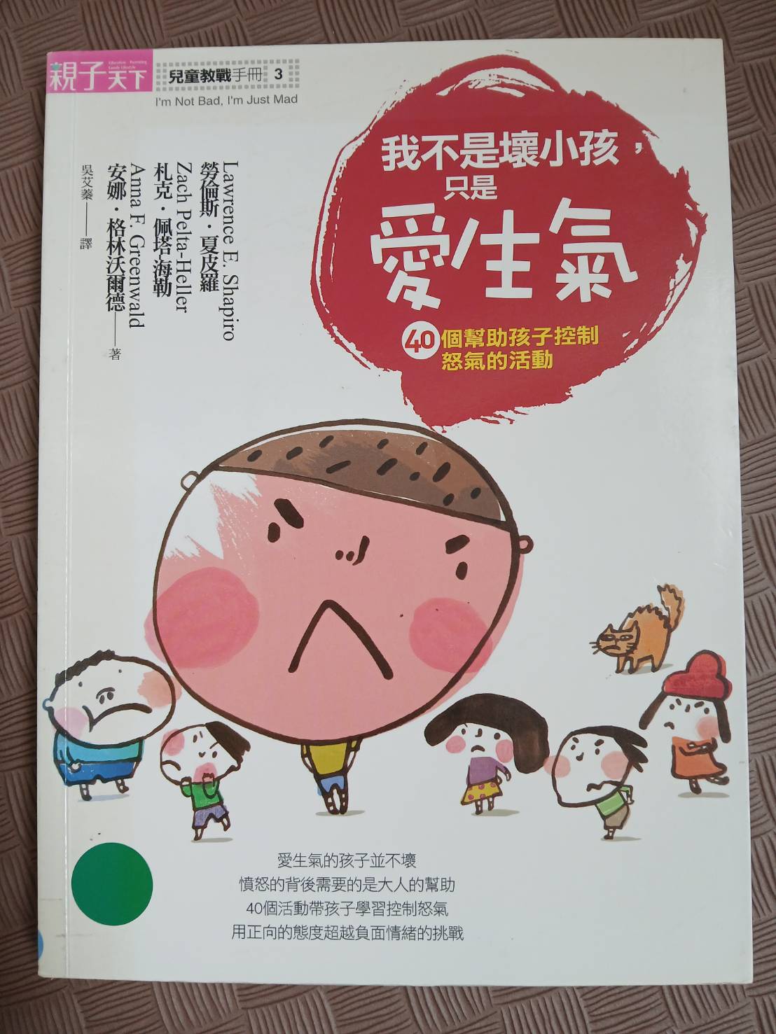 我不是壞小孩只是愛生氣圖片