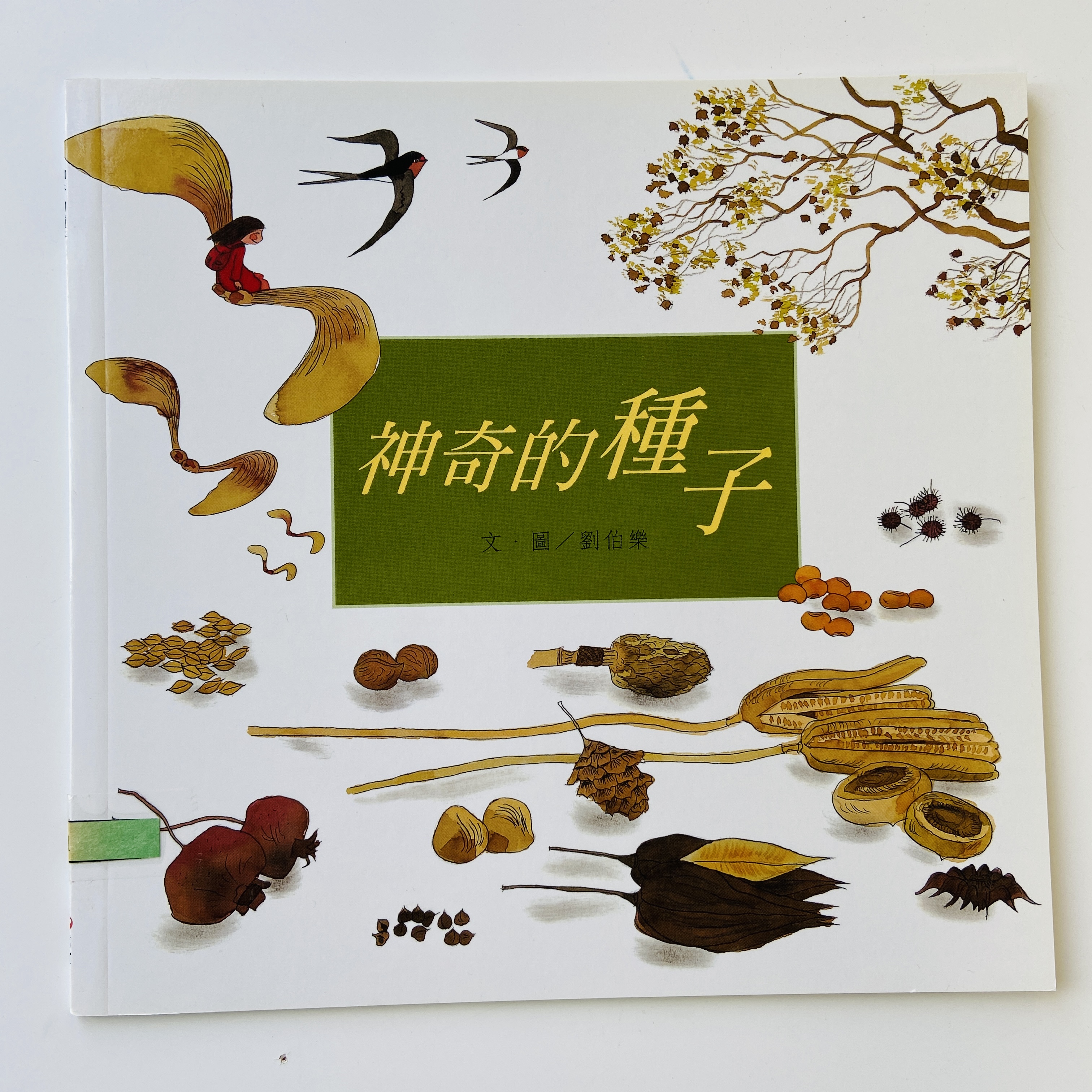 我的自然小書包－神奇的種子圖片