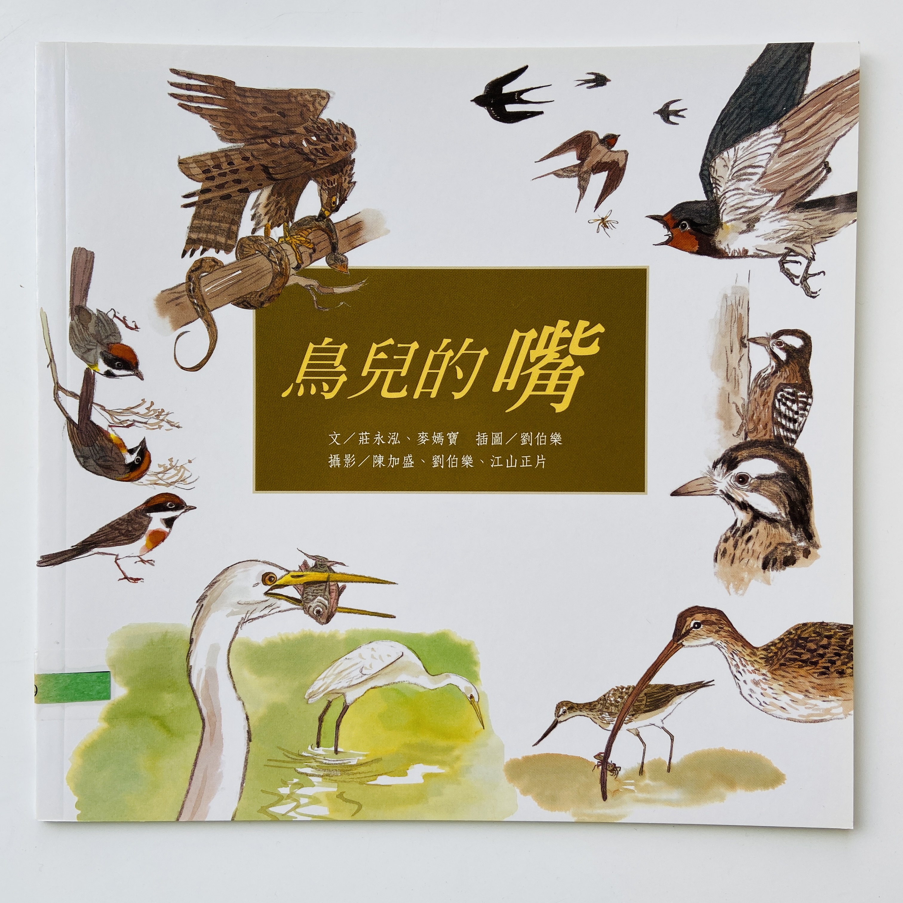 我的自然小書包－鳥兒的嘴圖片