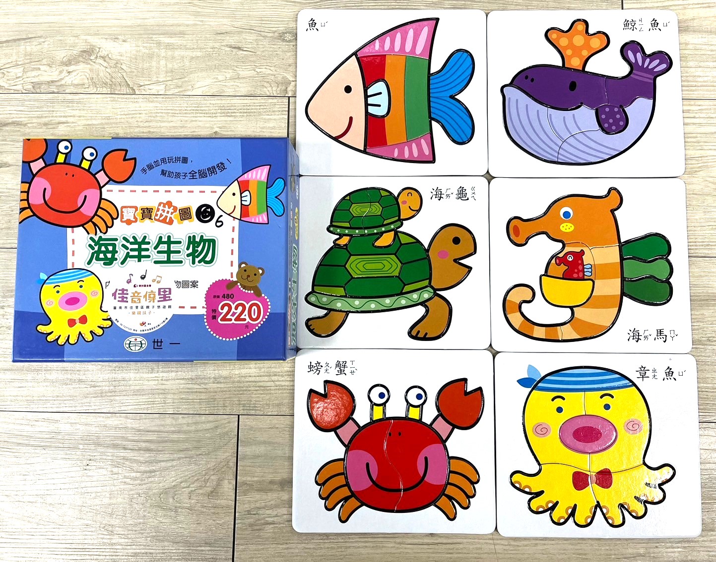 115 海洋生物拼圖圖片