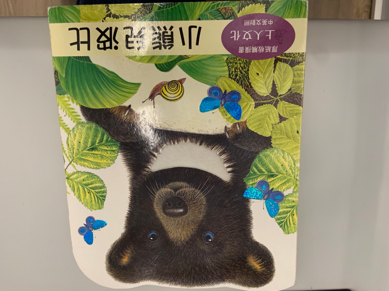 小熊兒波比圖片